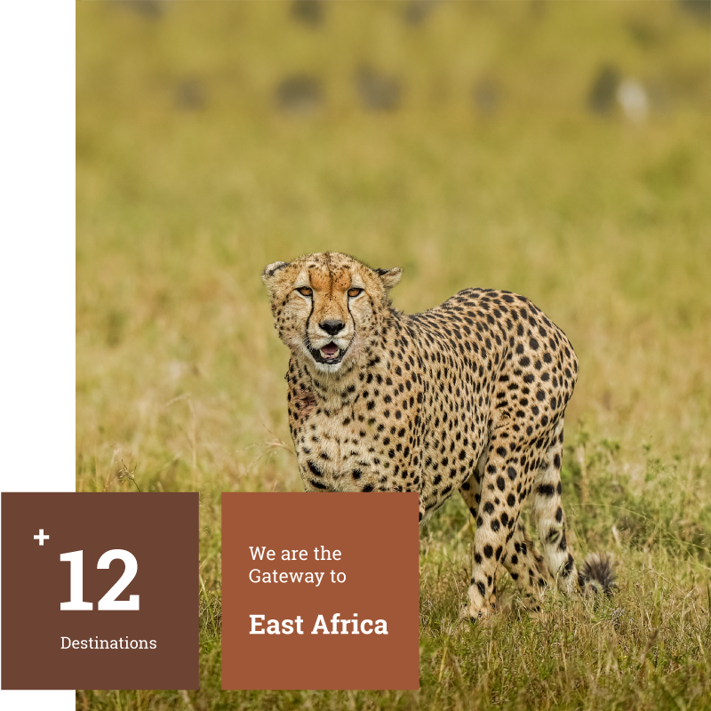 East-Africa-Gateway East-Africa-Gateway